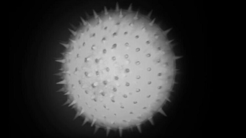 無散斑熒光照明 無散斑熒光照明