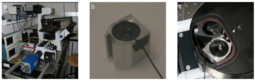 在共聚焦顯微鏡中實現 ETL 和 OL