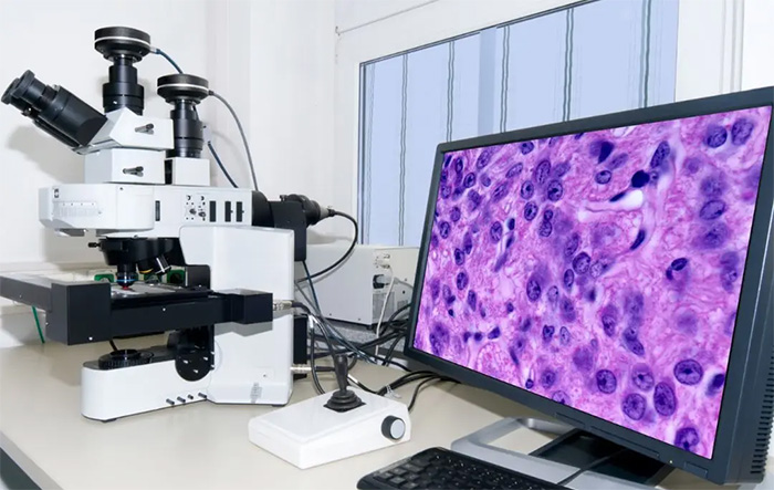 使用聲光器件的共聚焦顯微系統