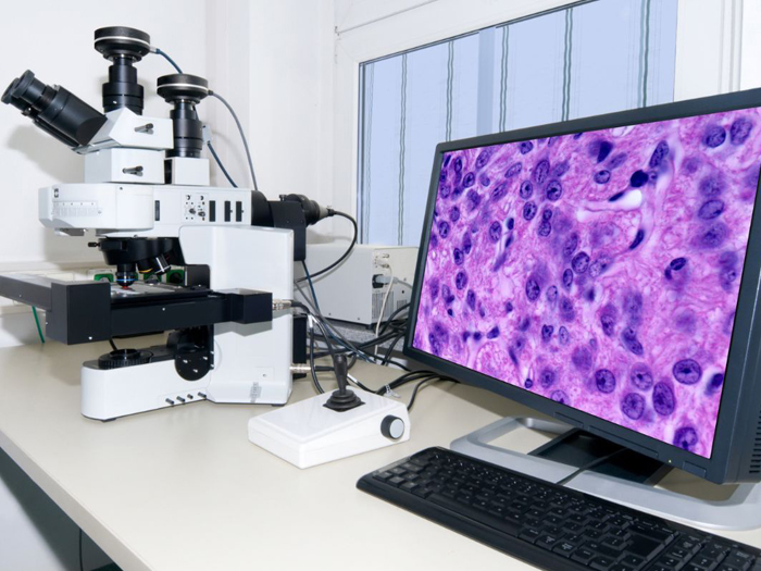 聲光可調(diào)諧濾波器如何增強(qiáng)共聚焦顯微鏡的多功能性